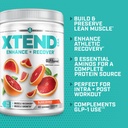 xtend-scivation-eaa-bcaa-powder-muscle-r-4.jpg