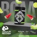 fossil-fuel-sugar-free-bcaa-powder-post--6.jpg
