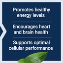 life-extension-l-carnitine-500-mg-energy-4.jpg