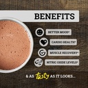 black-forest-high-flavanol-cocoa-powder--4.jpg