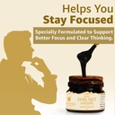 upakarma-ayurveda-pure-soft-shilajit-shi-5.jpg