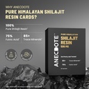 anecdote-pure-himalayan-shilajit-resin-c-3.jpg
