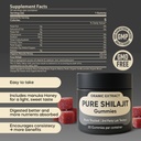 shilajit-gummies-himalayan-source-9000mg-4.jpg