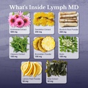 lymph-md-lymphatic-drainage-supplement-w-3.jpg