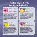 lymph-md-lymphatic-drainage-supplement-w-4.jpg