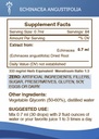 secrets-of-the-tribe-echinacea-angustifo-4.jpg