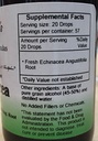 dr-christopher-s-echinacea-angustifolia--3.jpg