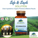 pure-mountain-botanicals-echinacea-capsu-3.jpg