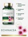 carlyle-echinacea-120-capsules-vegetaria-4.jpg