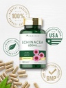carlyle-echinacea-120-capsules-vegetaria-6.jpg