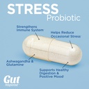 stress-probiotic-for-men-women-slows-dow-4.jpg