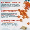 neviss-l-tyrosine-gummies-melatonin-60mg-3.jpg