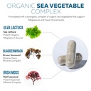 organic-whole-food-magnesium-supplement--3.jpg