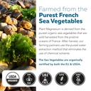 organic-whole-food-magnesium-supplement--6.jpg