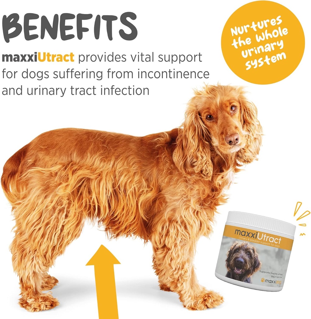 maxxipaws-maxxiutract-urinary-bladder-su-2.jpg