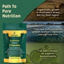 biogenesis-organic-chlorella-mini-tablet-4.jpg