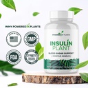 insulin-plant-capsules---3000mg-costus-i-6.jpg