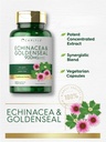 carlyle-echinacea-goldenseal-capsules-11-4.jpg