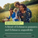 gaia-herbs-echinacea-supreme-immune-supp-5.jpg