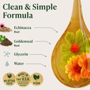herbamama-echinacea-goldenseal-tincture--4.jpg
