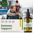 herbamama-echinacea-goldenseal-tincture--2.jpg