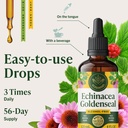 herbamama-echinacea-goldenseal-tincture--6.jpg