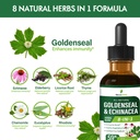 goldenseal-echinacea-extract-liquid-tinc-4.jpg