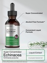 horbaach-echinacea-drops-herb-tincture-2-4.jpg