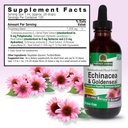 nature-s-answer-echinacea-and-goldenseal-3.jpg
