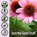 nature-s-answer-echinacea-and-goldenseal-5.jpg