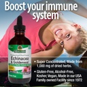 nature-s-answer-echinacea-and-goldenseal-4.jpg