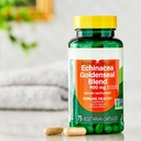 echinacea-goldenseal-blend-dietary-suppl-3.jpg