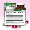nature-s-answer-echinacea-goldenseal-die-3.jpg