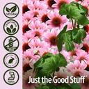nature-s-answer-echinacea-goldenseal-die-5.jpg