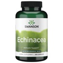 swanson-echinacea-w-goldenseal-root-250--4.jpg