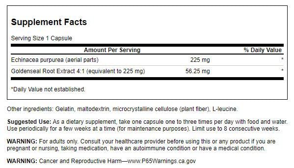 swanson-echinacea-w-goldenseal-root-250--2.jpg