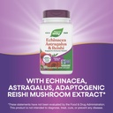 nature-s-way-echinacea-astragalus-reishi-4.jpg