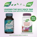 nature-s-way-echinacea-astragalus-reishi-2.jpg