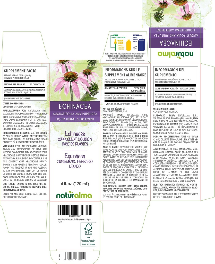 naturalma-echinacea-echinacea-angustifol-2.jpg