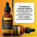 echinacea-and-goldenseal-root-liquid-ext-5.jpg