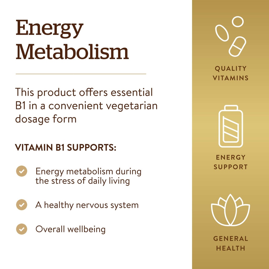 solgar-vitamin-b1-thiamin-500-mg-100-tab-4.jpg