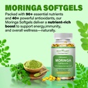 moringa-softgel-capsules-made-with-pure--2.jpg