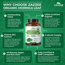 zazzee-usda-organic-moringa-leaf-20-1-ex-6.jpg