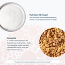 youtheory-joint-collagen-advanced-contai-6.jpg