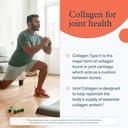 youtheory-joint-collagen-advanced-contai-3.jpg