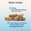 jarrow-formulas-ashwagandha-300-mg---120-3.jpg