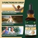 astragalus-root-extract-herbal-drops-for-3.jpg