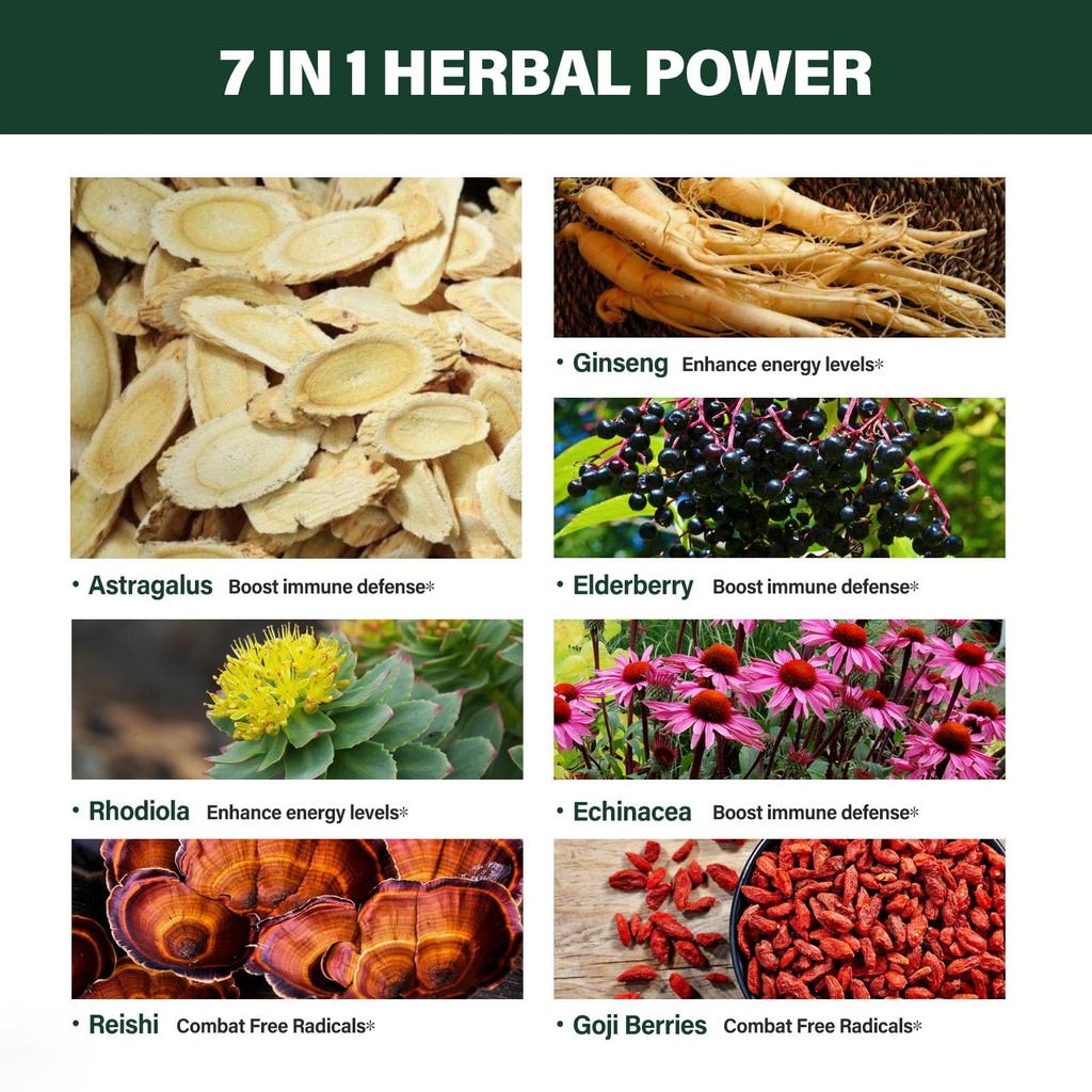 astragalus-root-extract-herbal-drops-for-4.jpg