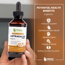 maxx-herb-astragalus-root-extract-max-st-3.jpg
