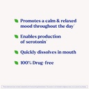 natrol-5-htp-100-mg-fast-dissolve-supple-3.jpg